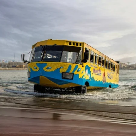 Wonder Bus Sea And Land Adventure Tours