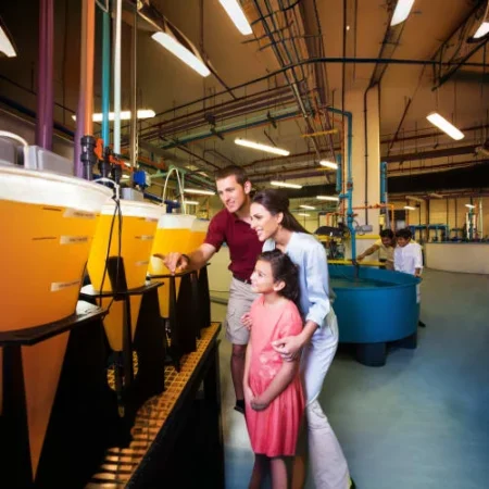 The Lost Chambers Aquarium Tickets