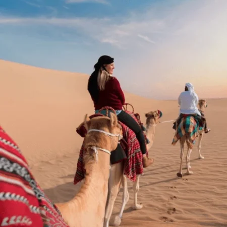 Camel Trekking in Abu Dhabi