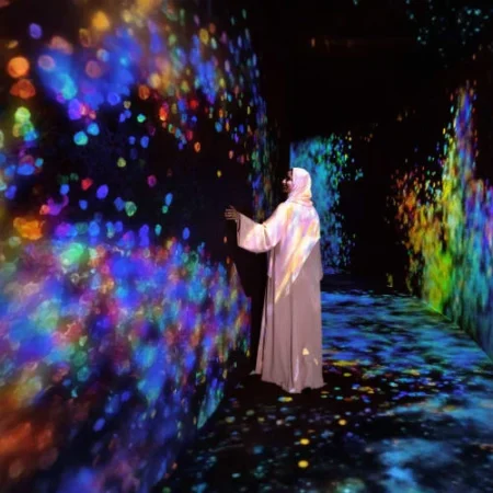 Teamlab Phenomena