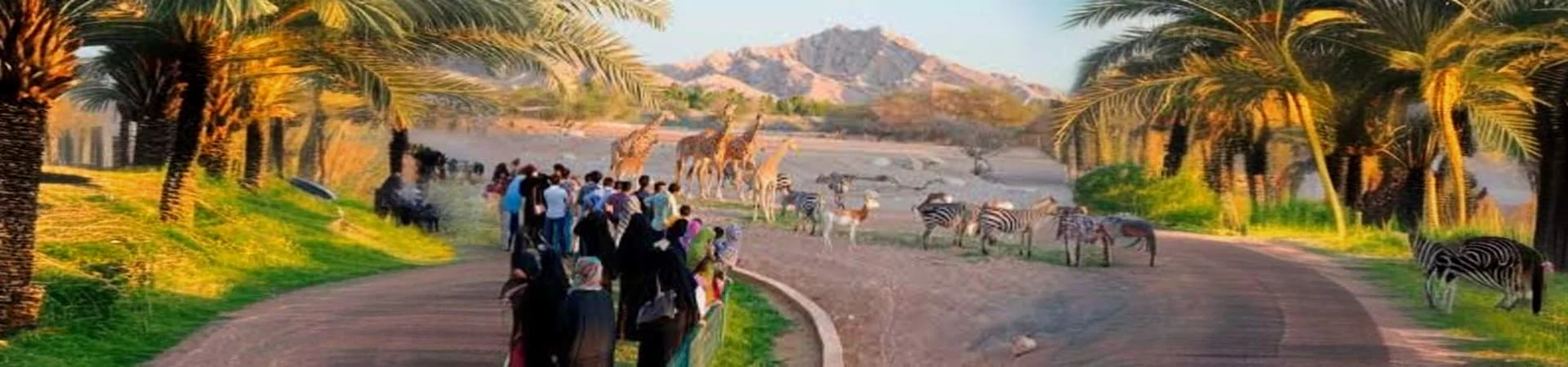 Al Ain Zoo gall (2)
