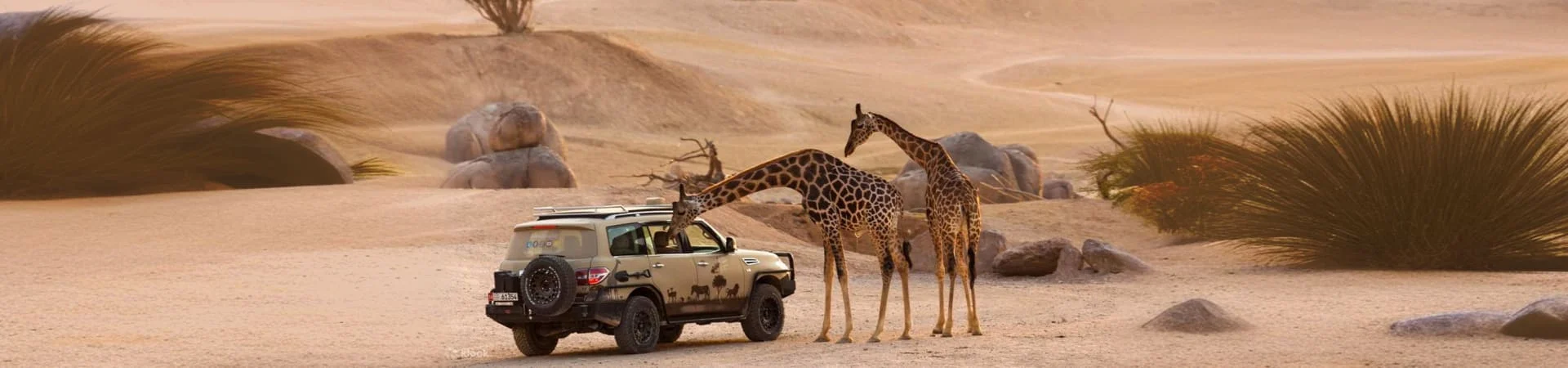 Al Ain Zoo gall (3)