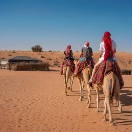 Camel Riding Dubai