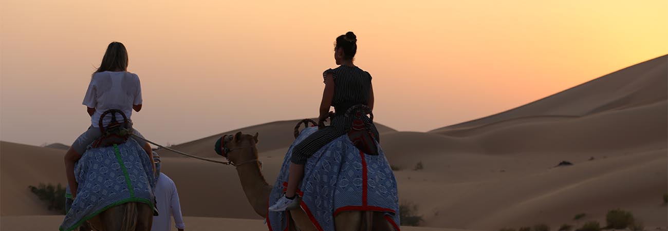 Camel Trekking in Abu Dhabi Gall (1)