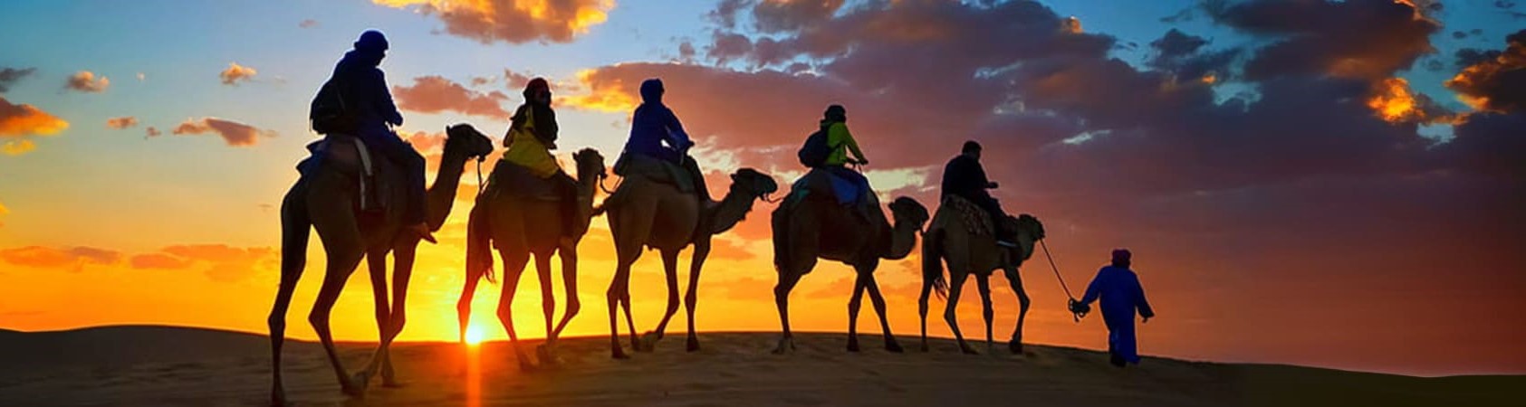 Camel Trekking in Abu Dhabi Gall (3)