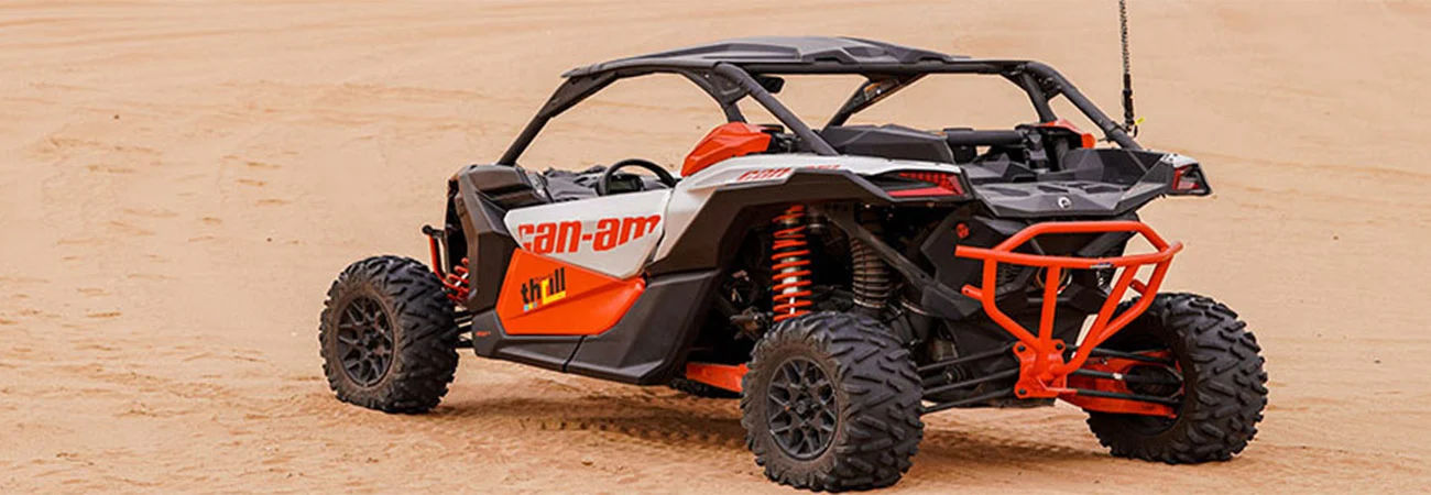 Desert Buggy Driving Experience (1)