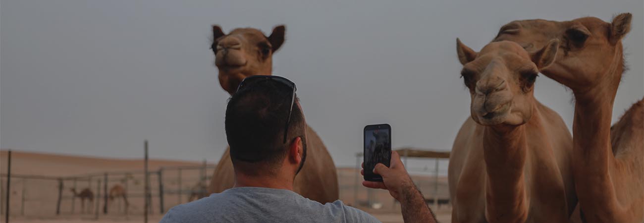 Desert Safari Abu Dhabi gall (1)