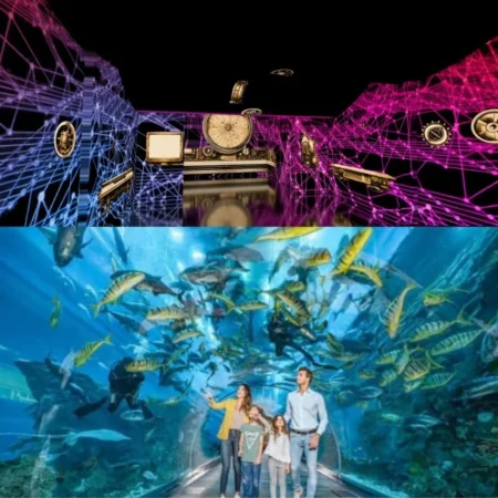 Dubai Aquarium with Free Theatre Of Digital Art