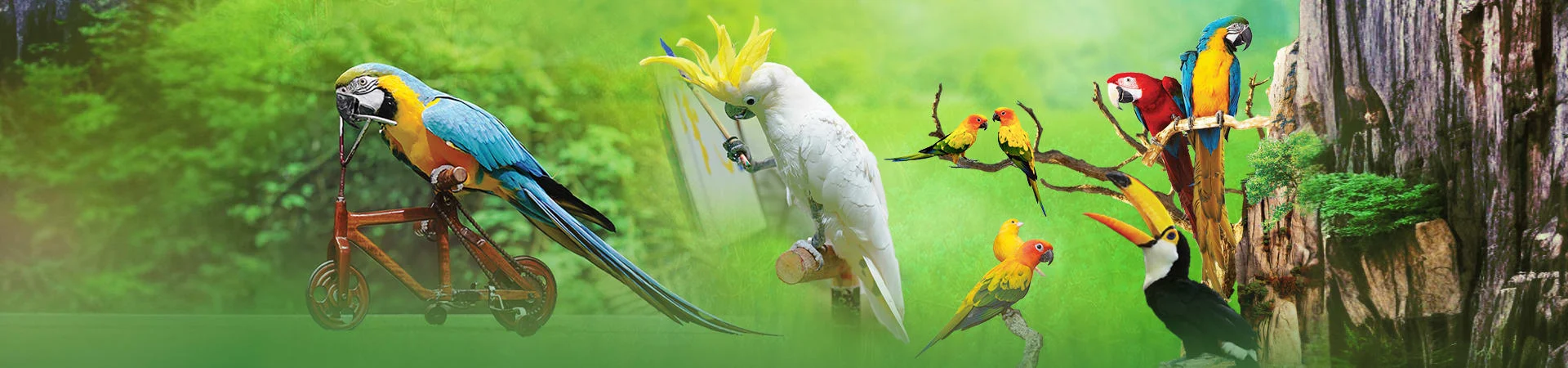 Dubai Dolphinarium gall (2)