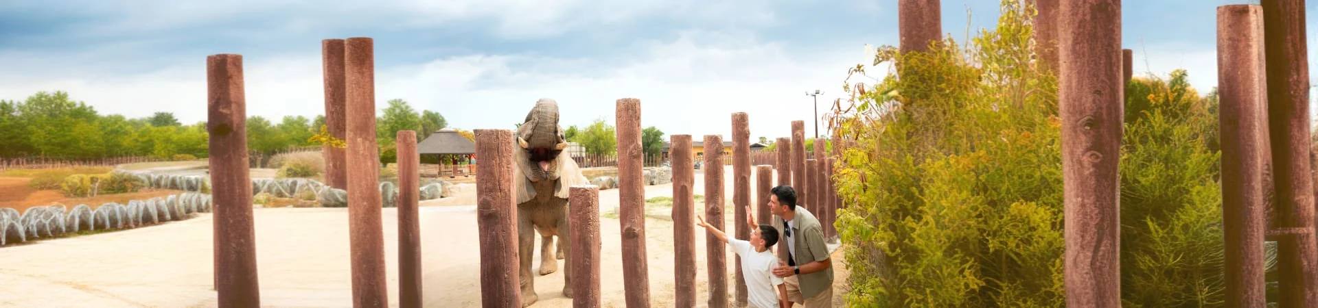 Dubai Safari Park gall (2)
