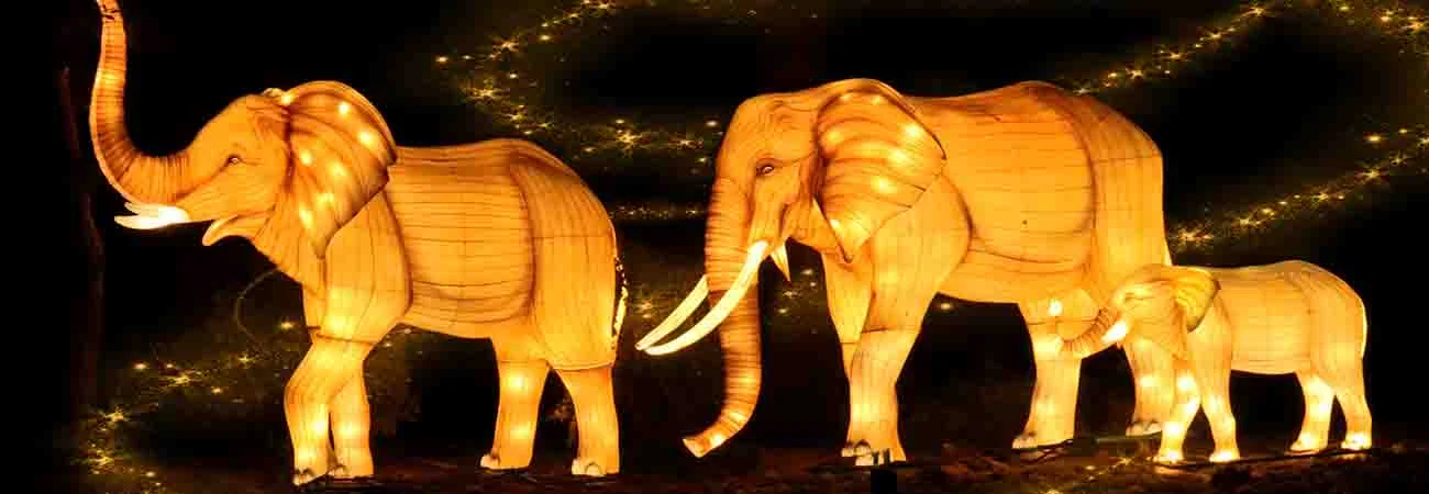 Glow Garden gall (1)