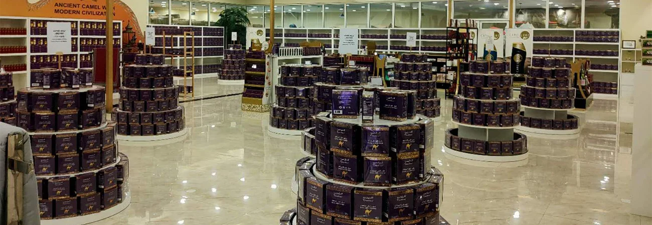 Guided Trip to Camel Farm (3)