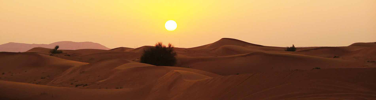 Liwa Safari Gall (1)