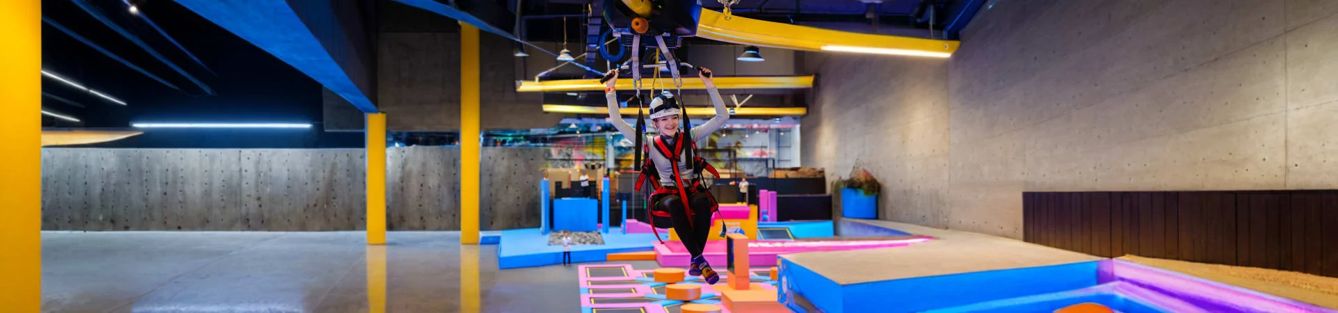 Loco Bear Entertainment Hub (2)