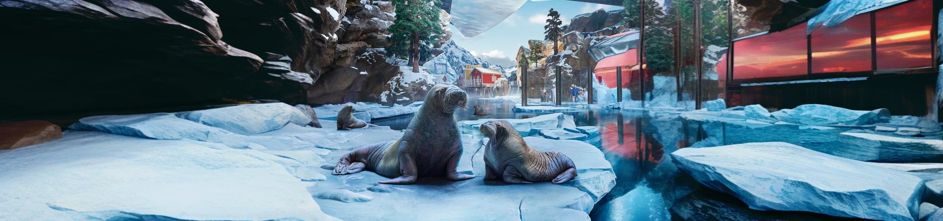 SeaWorld Abu Dhabi gallery (2)