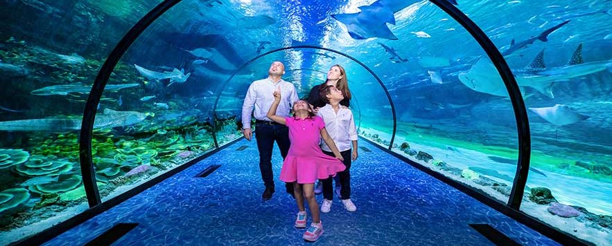 The National Aquarium Abu Dhabi Gall (2)