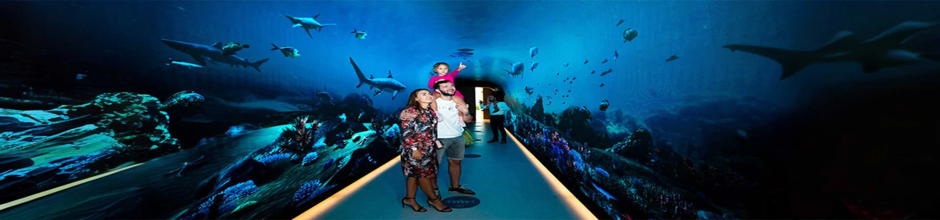 The View At The Palm Jumeirah Dubai gall (2)