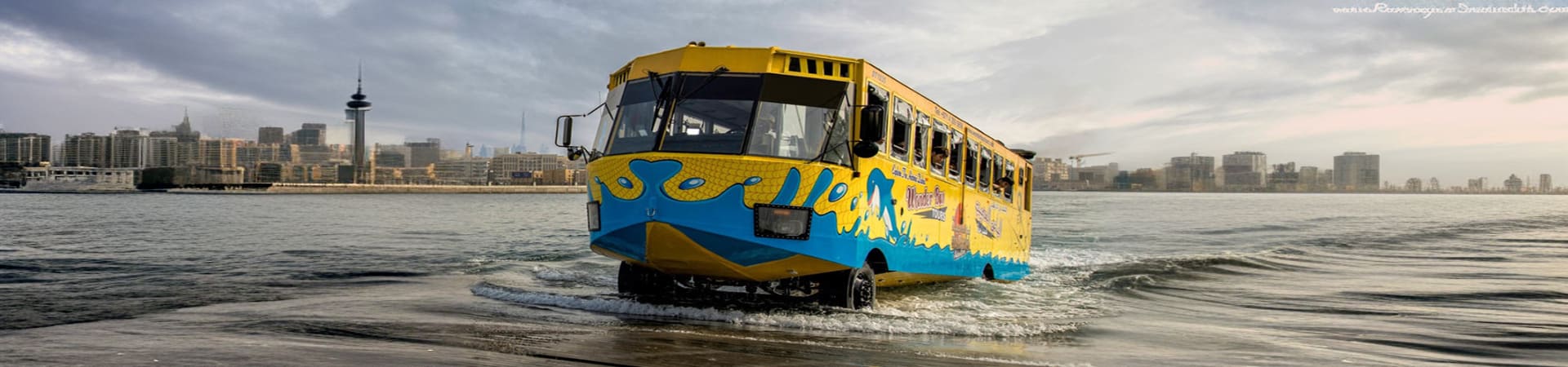Wonder Bus Sea And Land Adventure Tours (1)