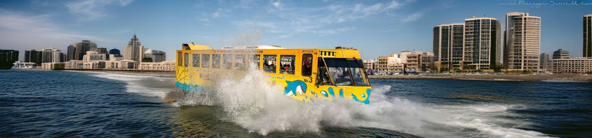 Wonder Bus Sea And Land Adventure Tours (2)