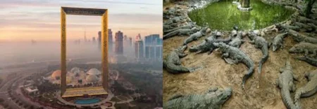 Dubai Frame and Dubai Crocodile Park Combo